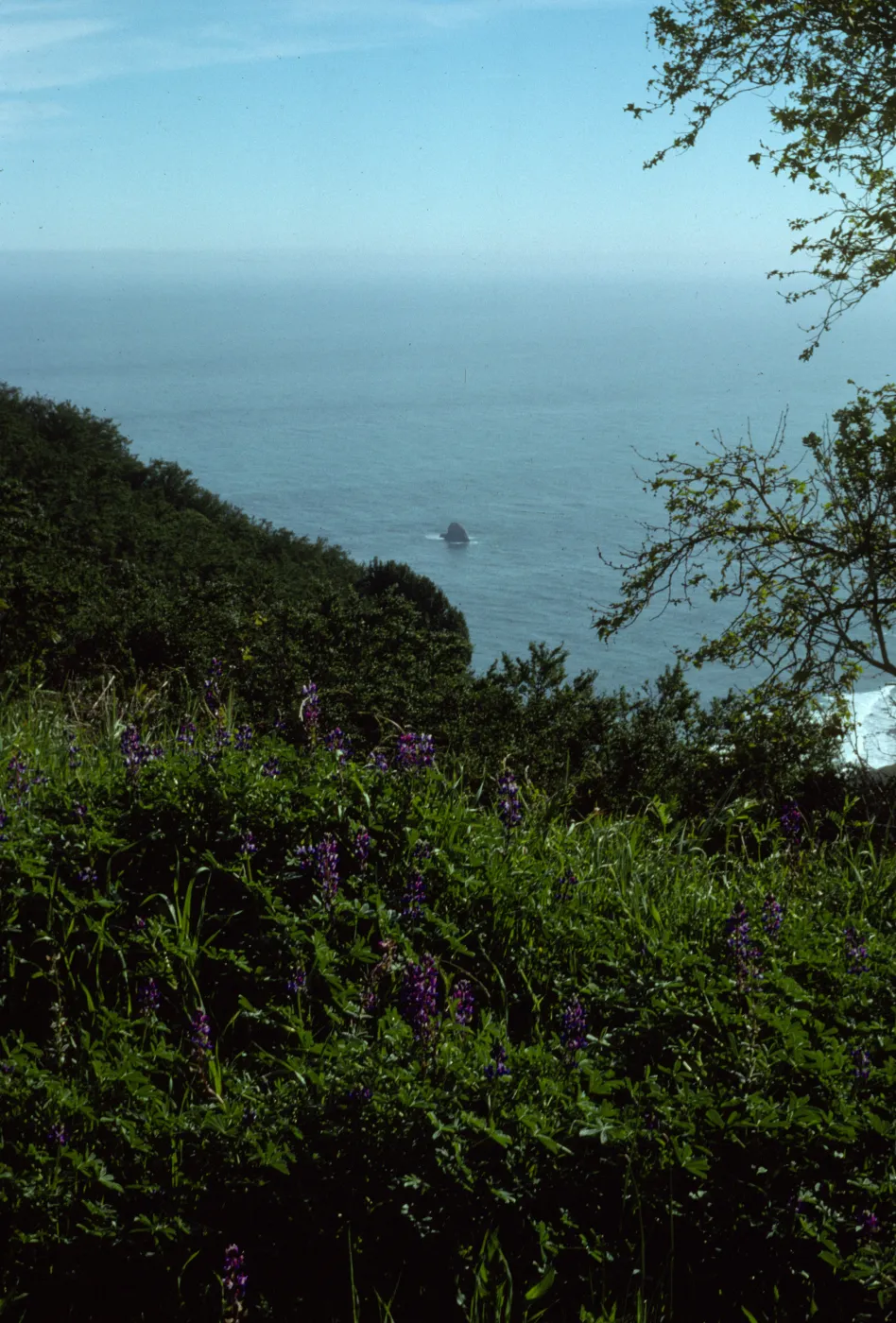 San Francisco Peninsula Trip with Mary Carroll and Lila Burgess