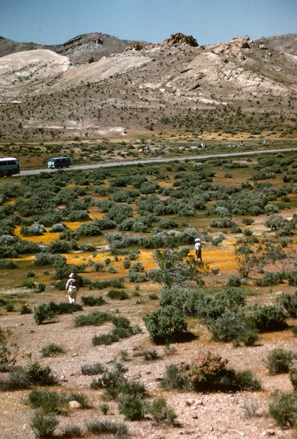 Bus trip stop near Tropico Gold Mine, Antelope Valley