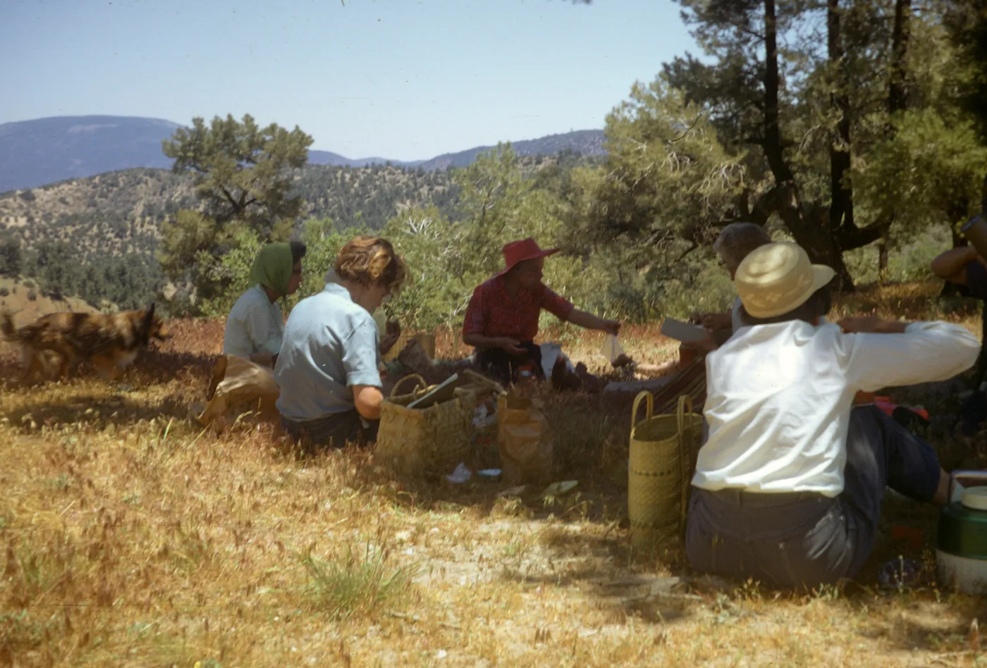 Botanical Foray, Lockwood Valley