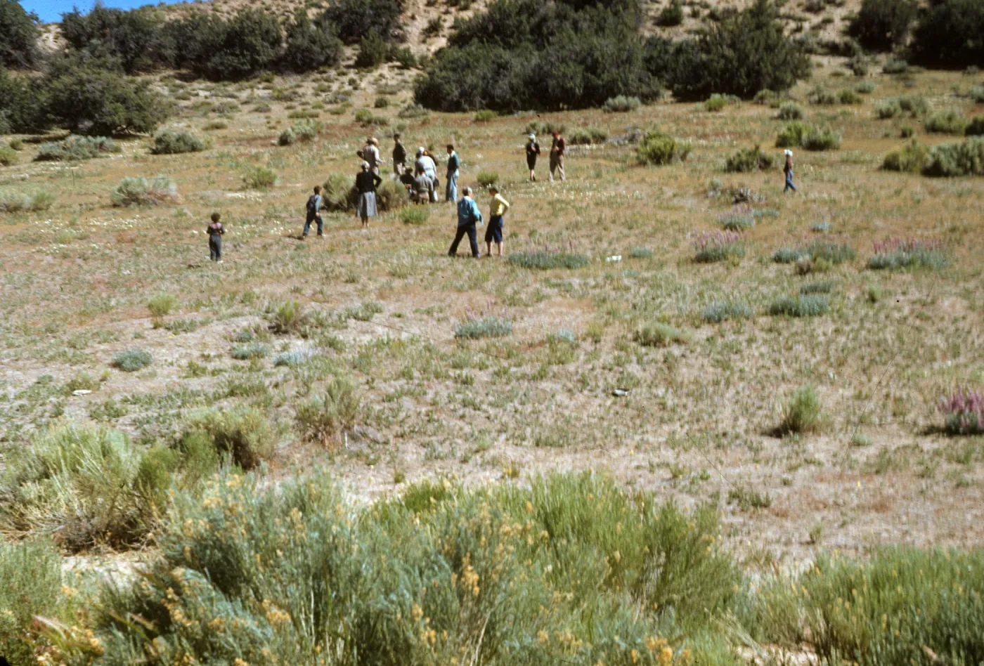 Southern California Botanists in Lockwood Valley