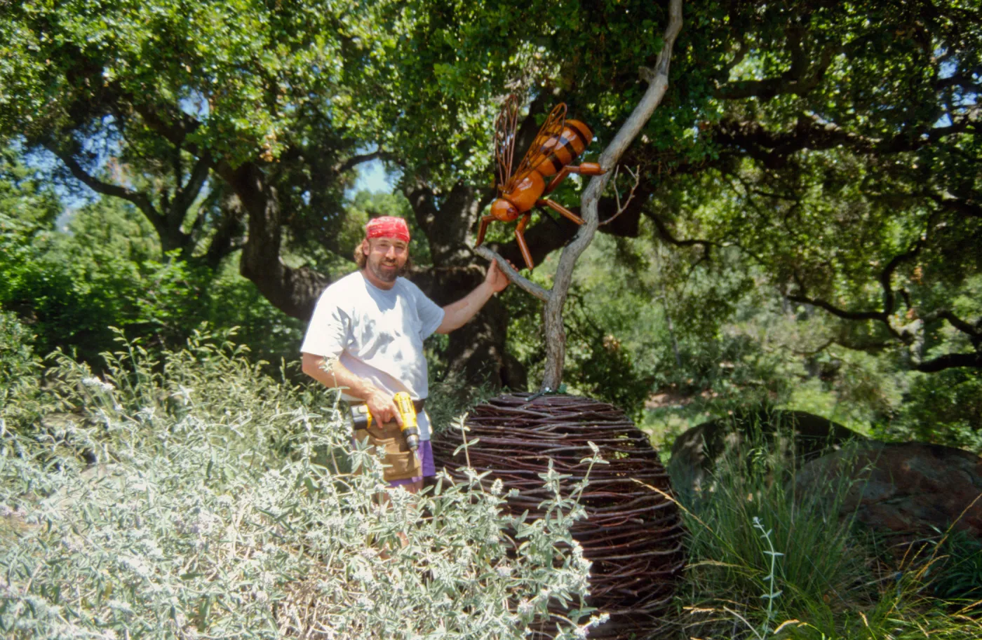 Big Bugs, Honey Bee setup