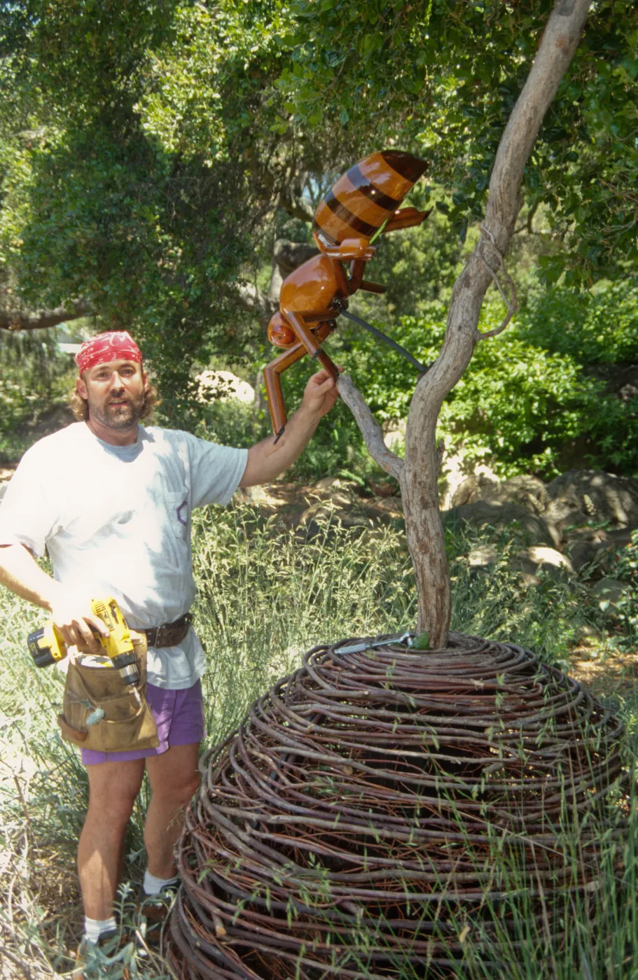 Big Bugs, Honey Bee setup