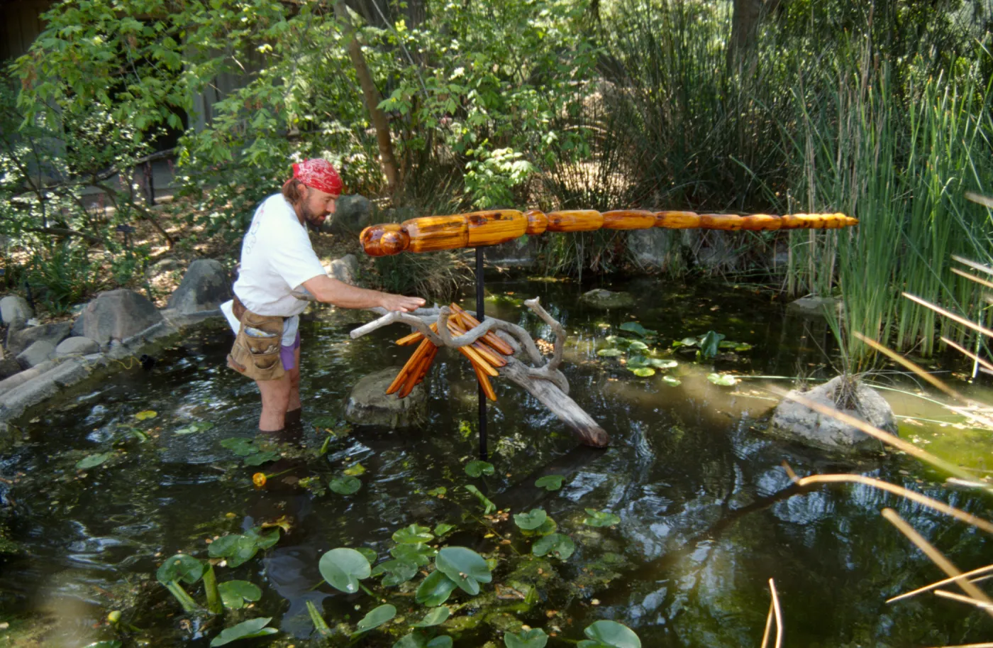Big Bugs, Dragon Fly setup