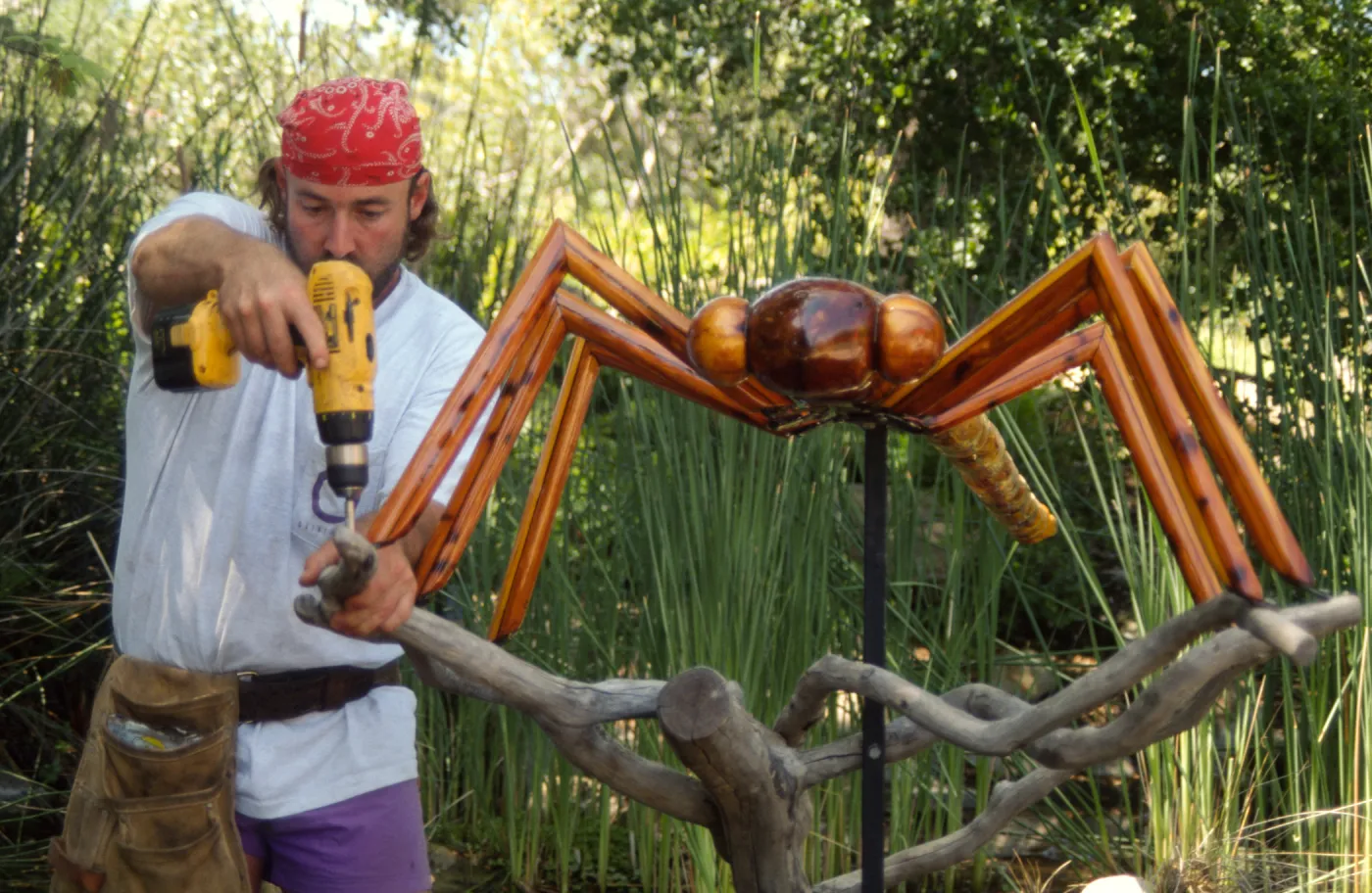 Big Bugs, Dragon Fly setup