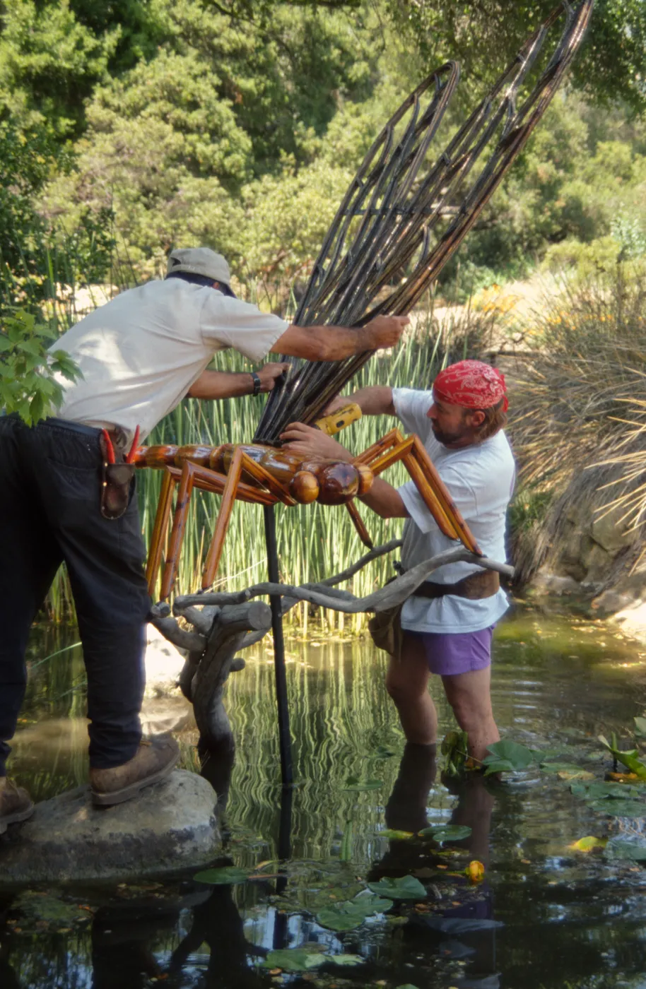 Big Bugs, Dragon Fly setup