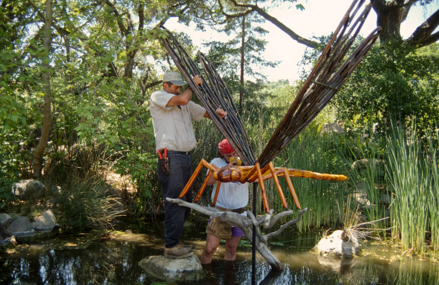 Big Bugs, Dragon Fly setup