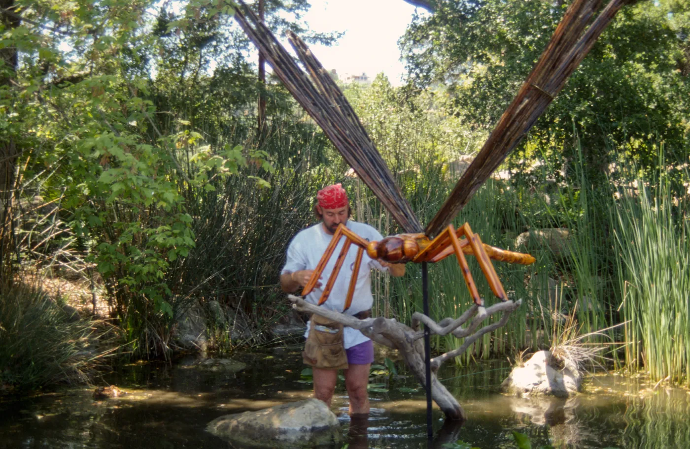 Big Bugs, Dragon Fly setup