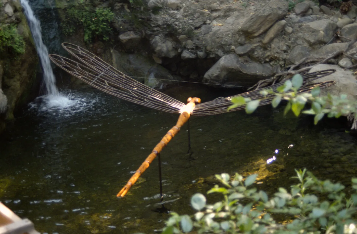 Big Bugs; damselfly in the pool beneath the Mission Dam