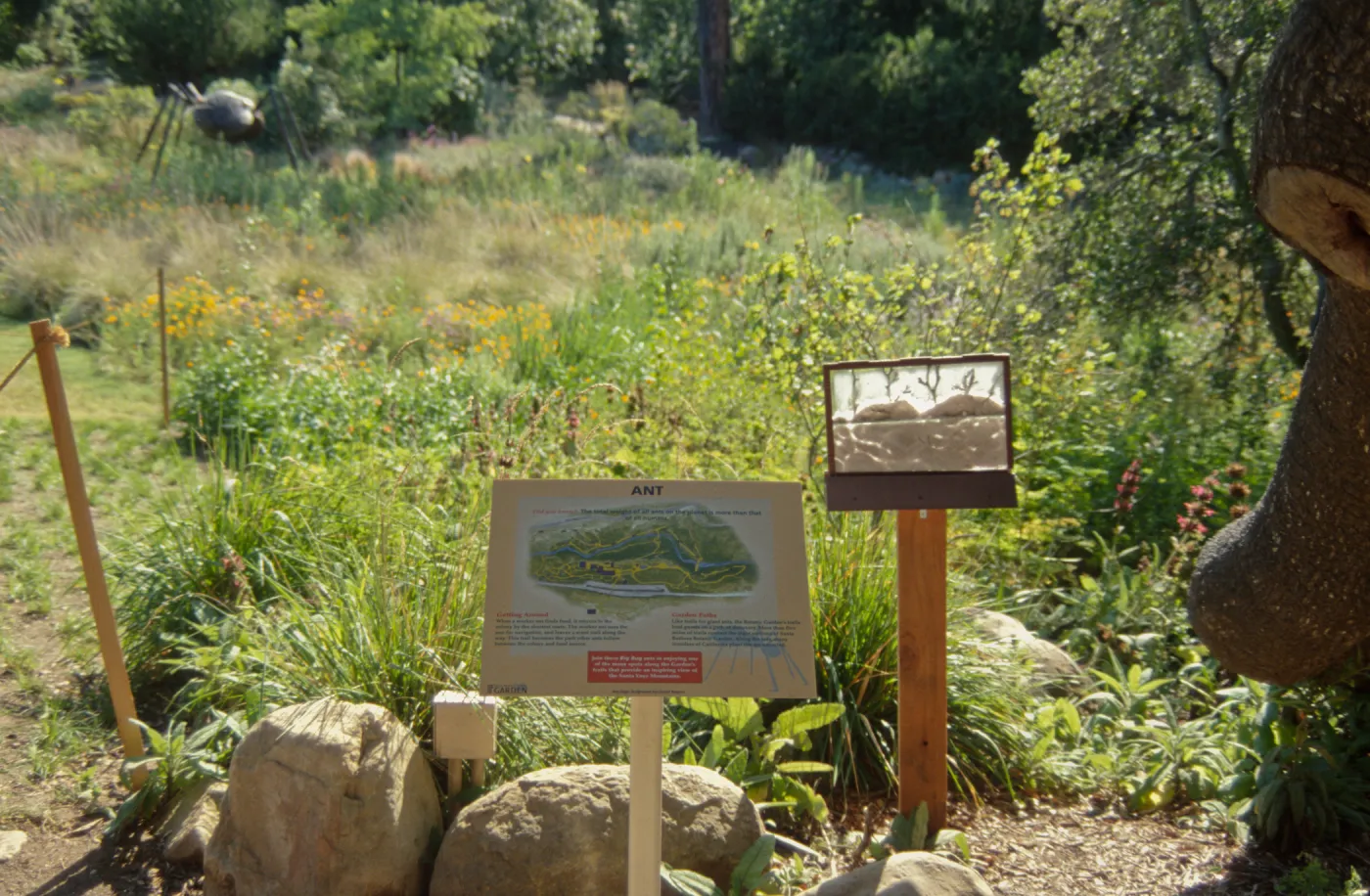 Big Bugs, Giant Ant in the Meadow, Ant interpretive exhibit