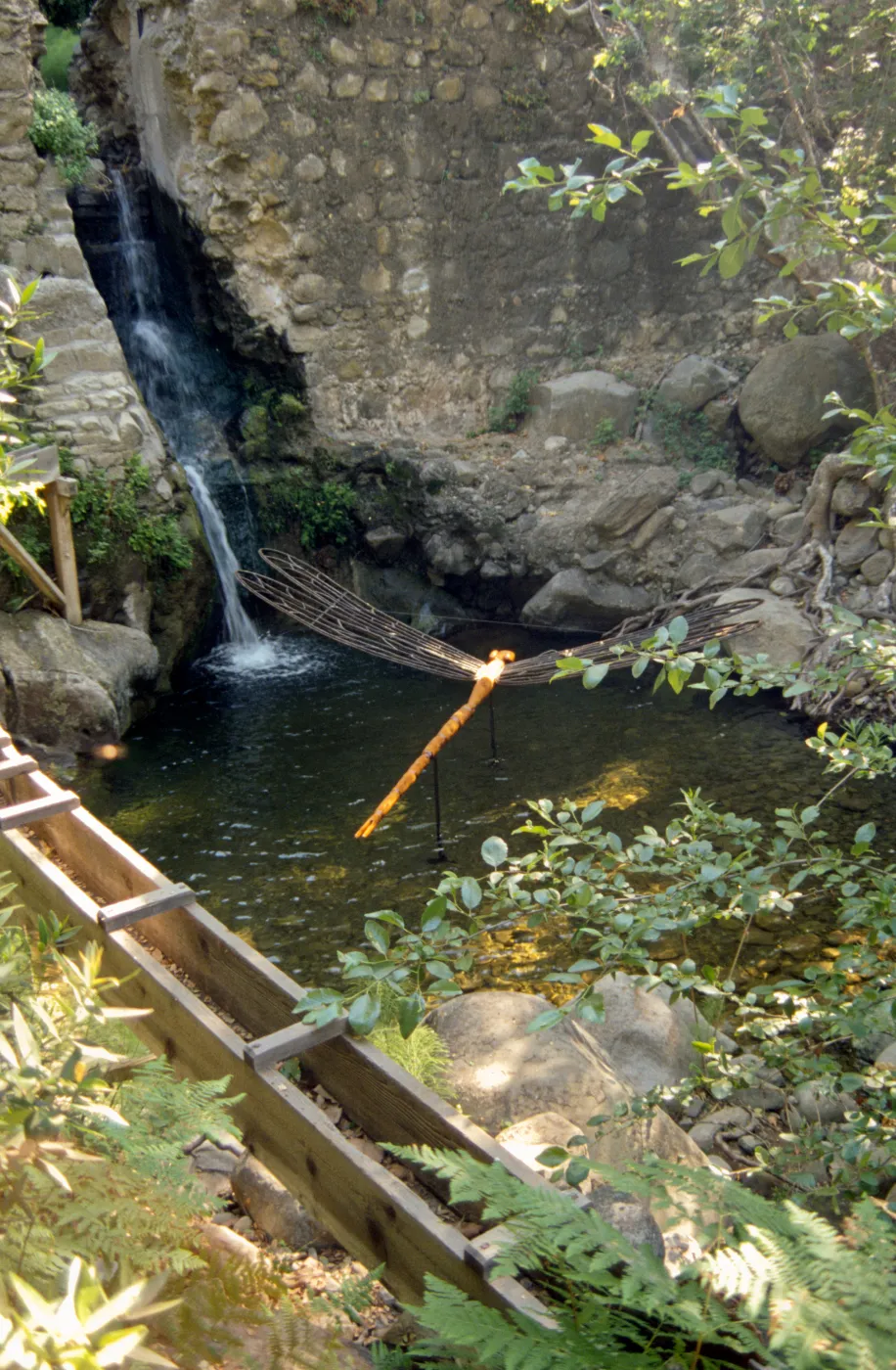 Big Bugs, damselfly in the pool beneath the Mission dam