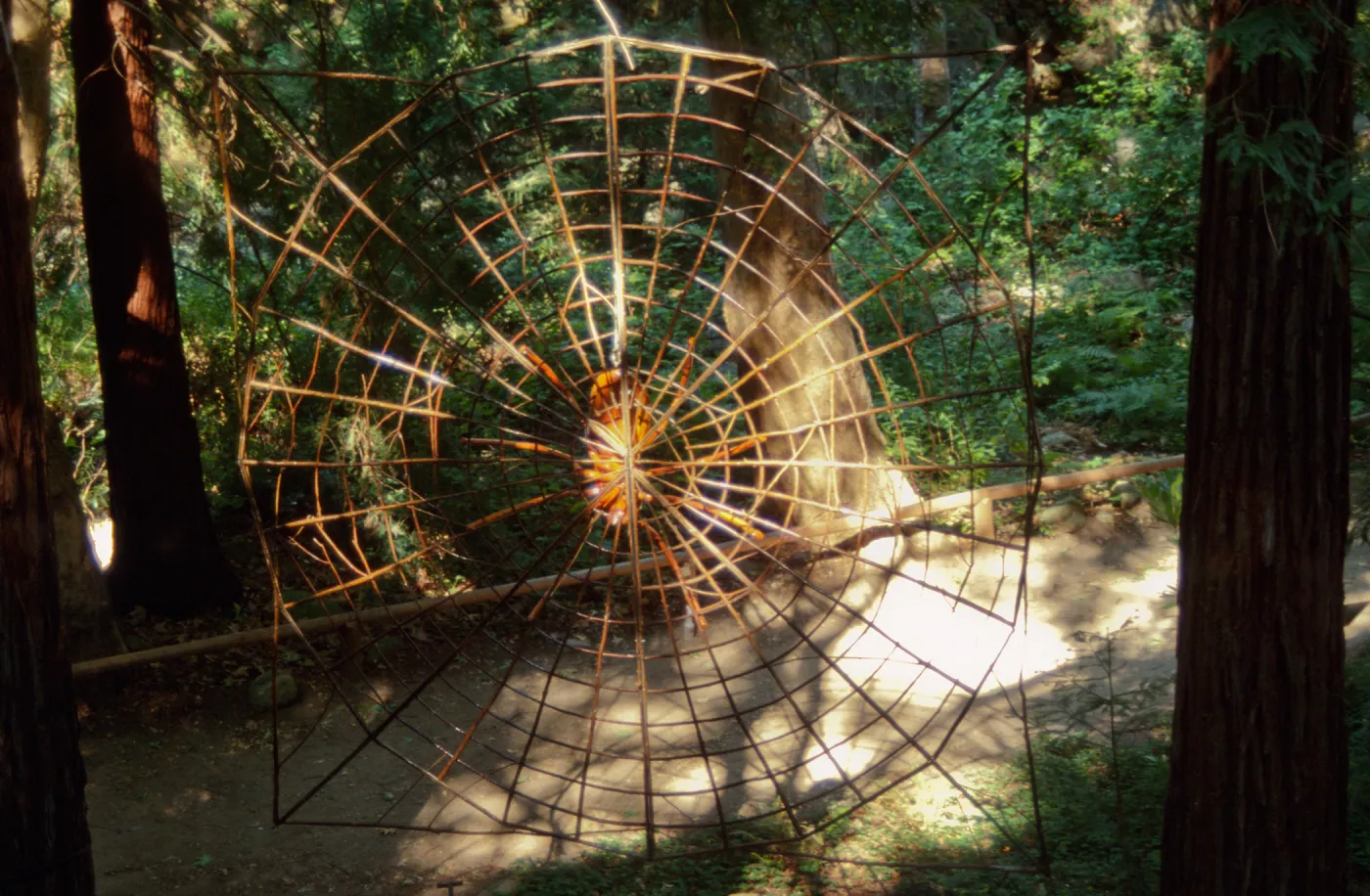 Big Bugs, giant spider and spiderweb in the Redwood Section