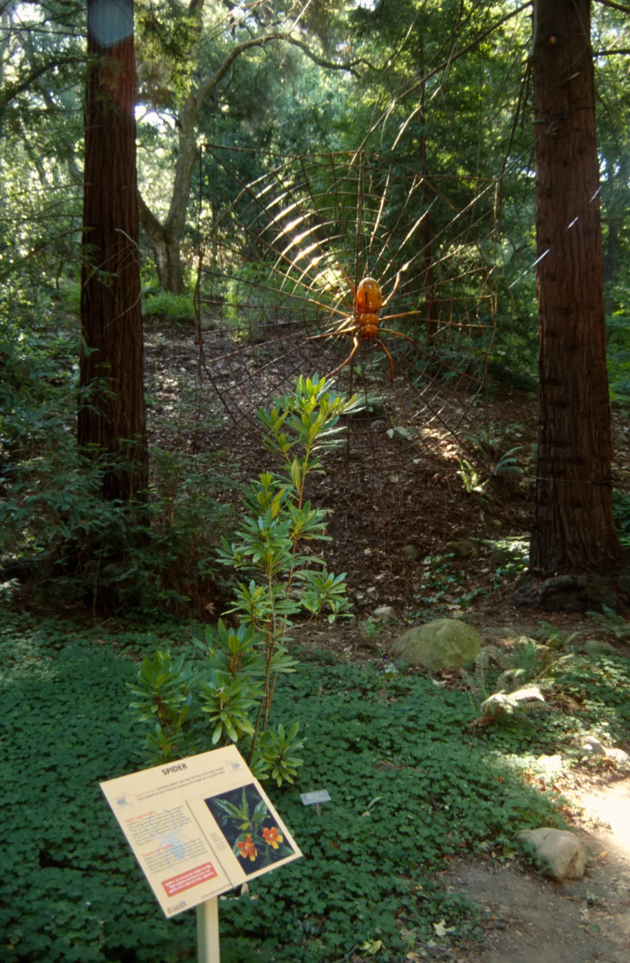 Big Bugs, giant spider in the Redwood Section