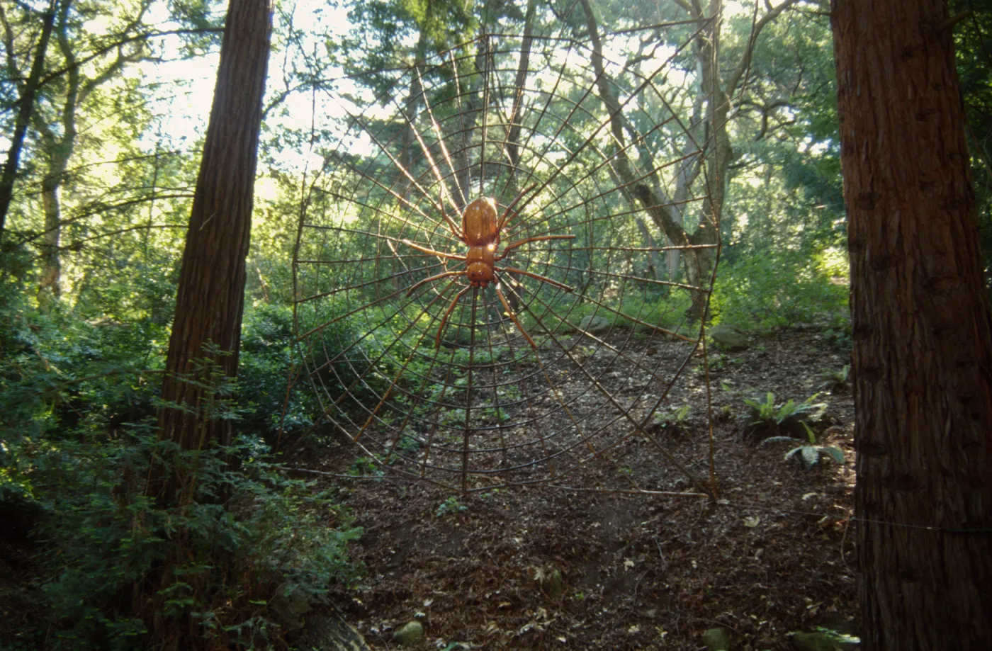 Big Bugs, giant spider and spider web