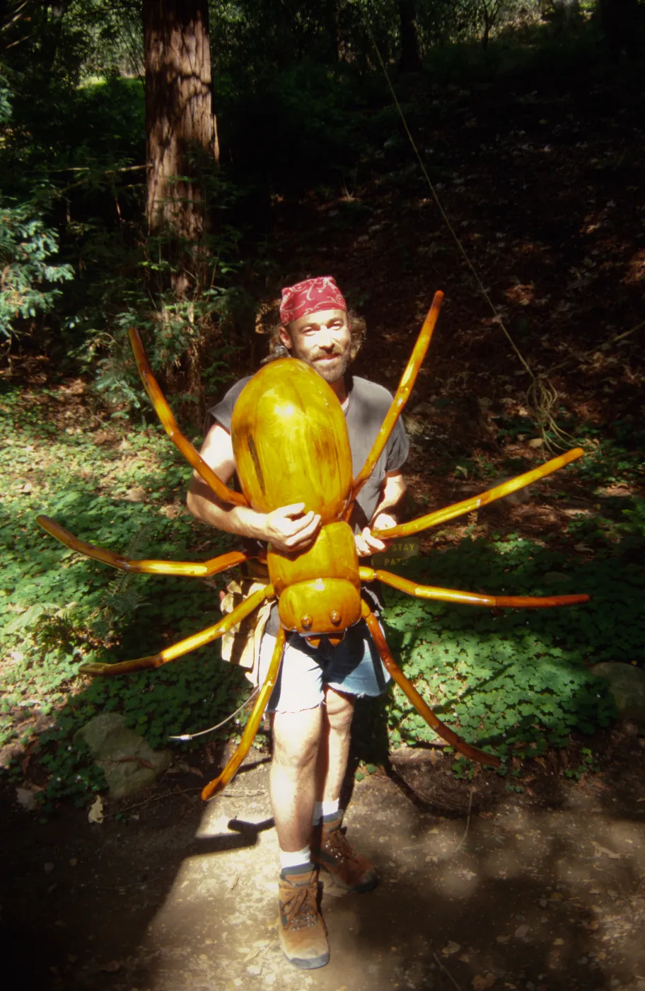 Big Bugs installation, David Rogers holding the giant spider