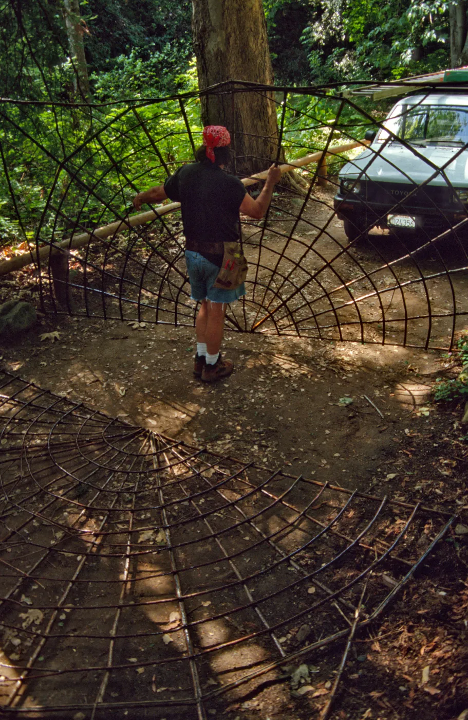 Big Bugs Spider Installation