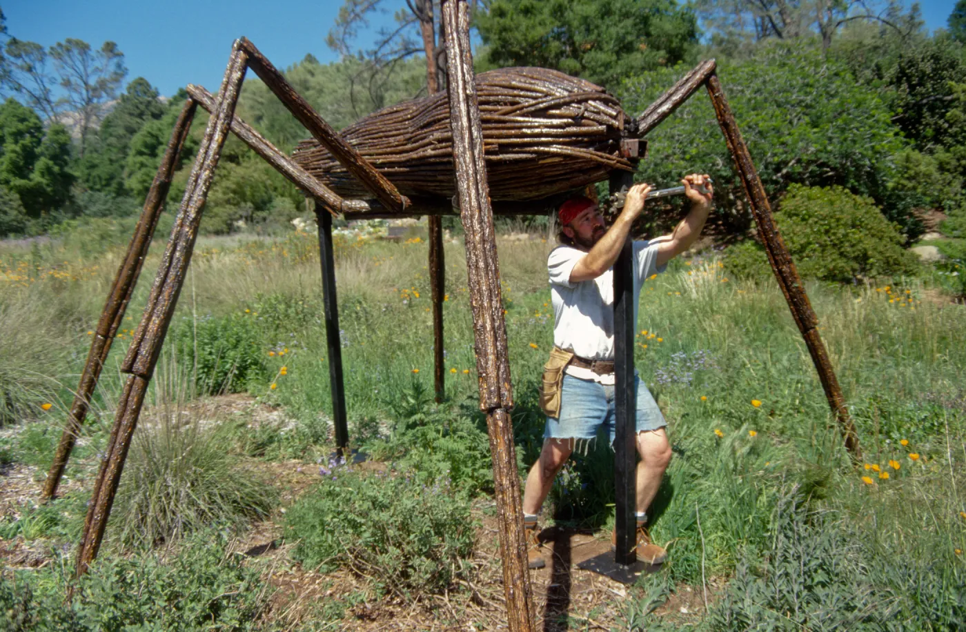 Big Bugs, Ant setup
