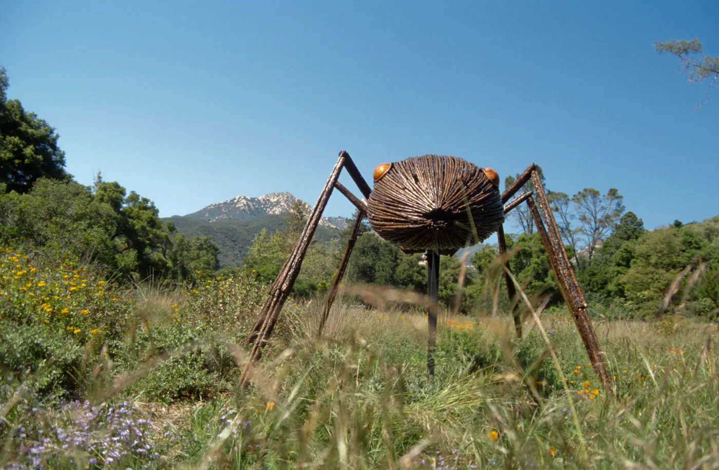 Big Bugs Ant Installation