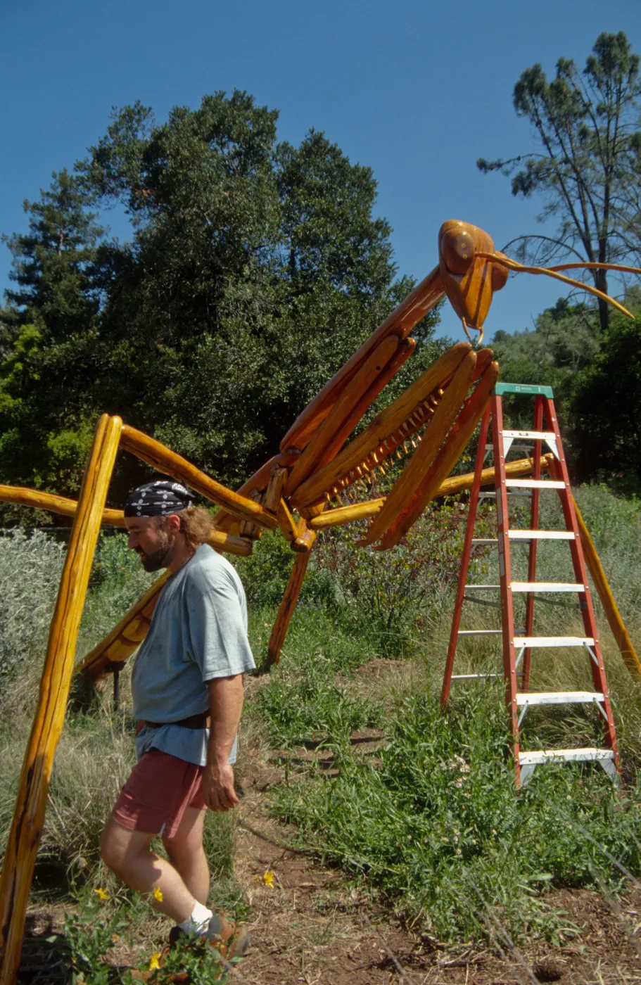 Big Bugs, Praying Mantis setup