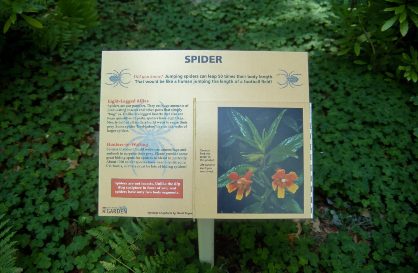 Big Bugs Spider sign