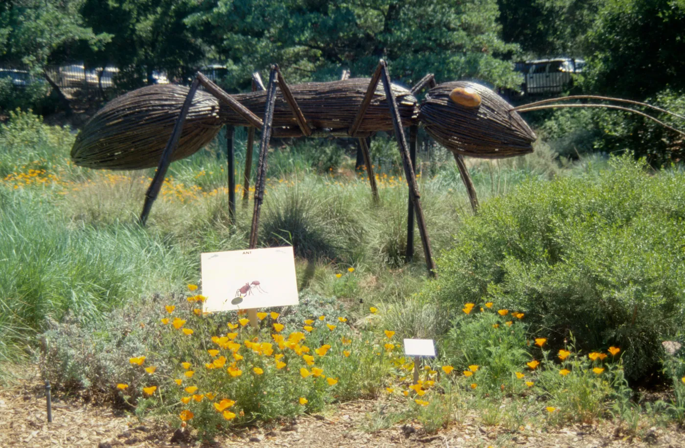 Big Bugs Ant sign and installation