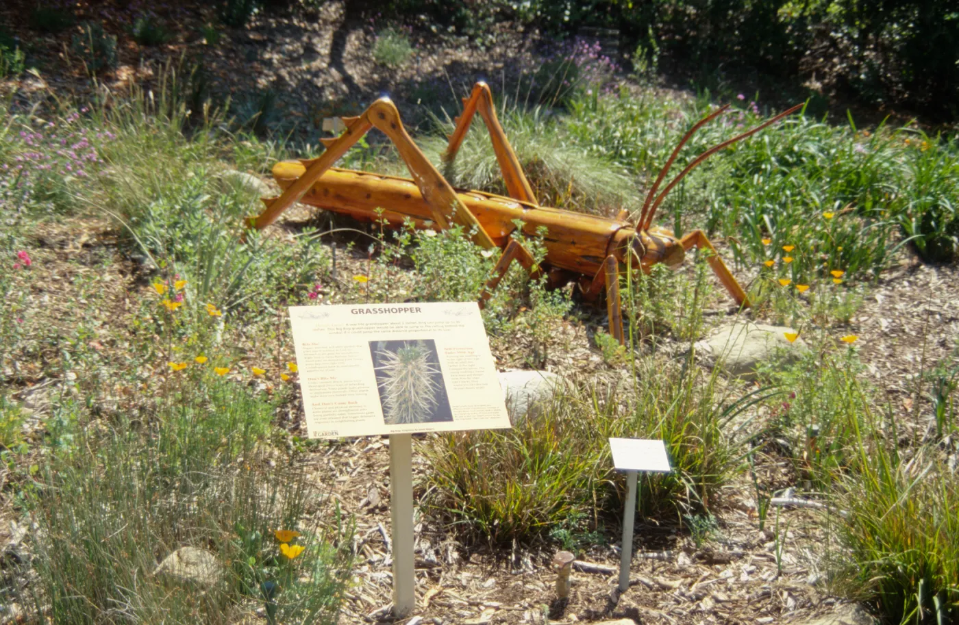 Big Bugs Grasshopper installation