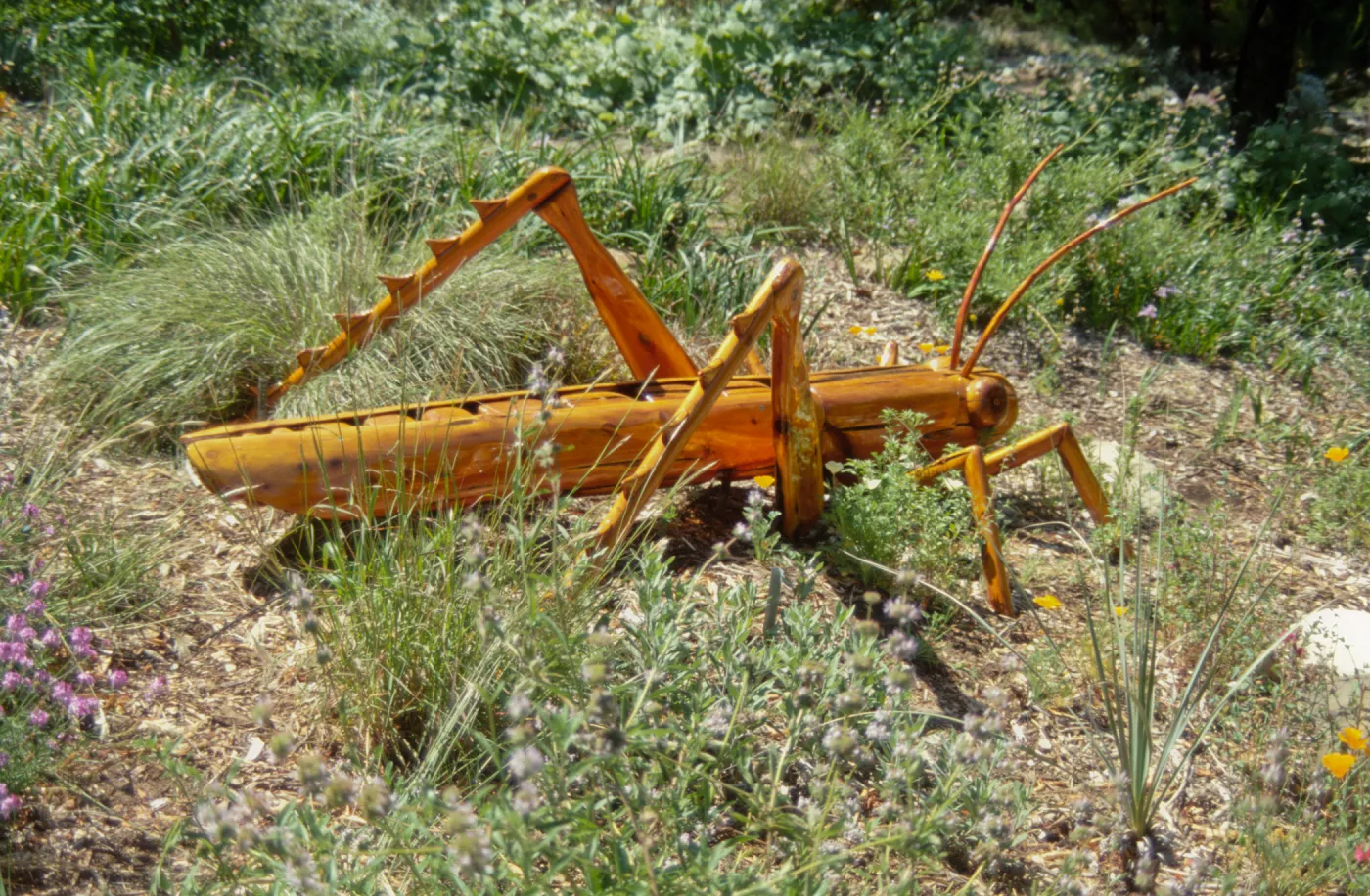 Big Bugs Grasshopper installation