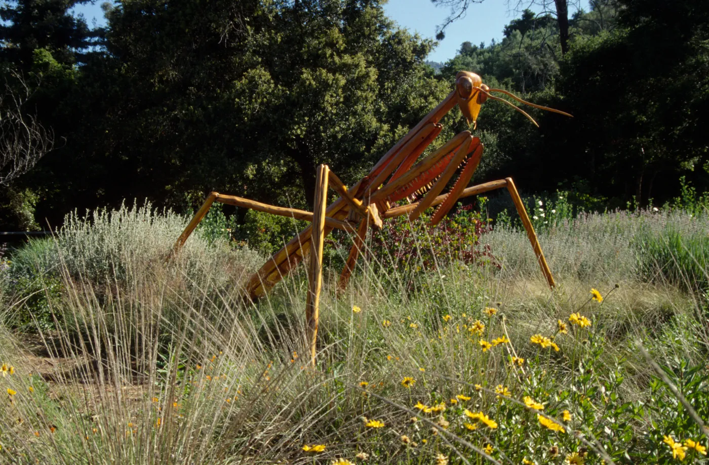 Big Bugs Praying Mantis installation