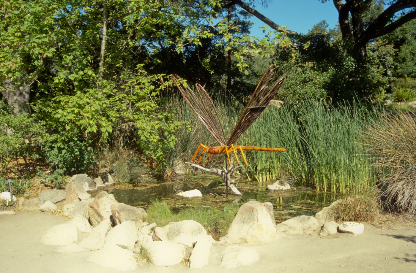 Big Bugs Dragonfly installation