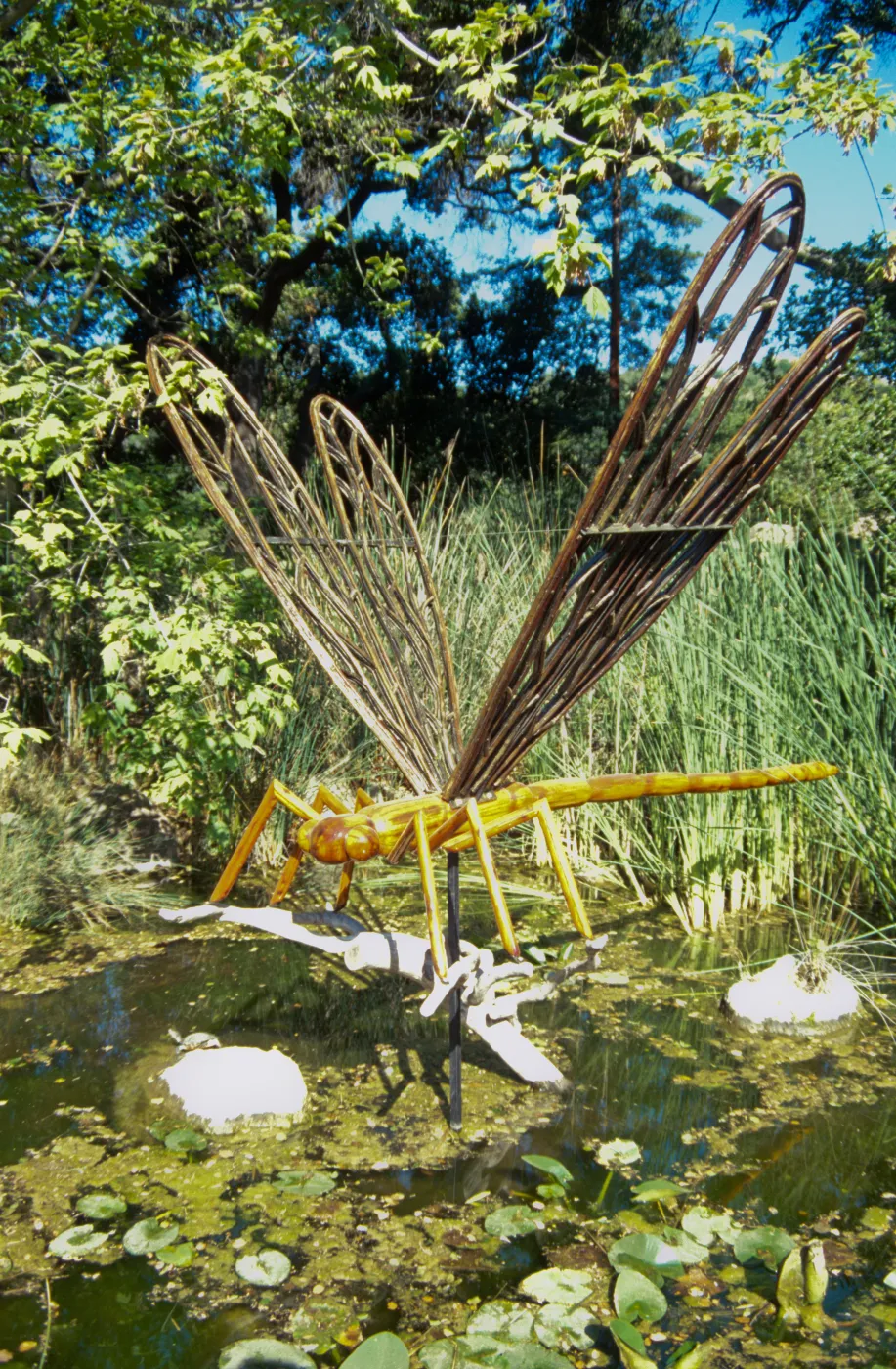 Big Bugs Dragonfly installation