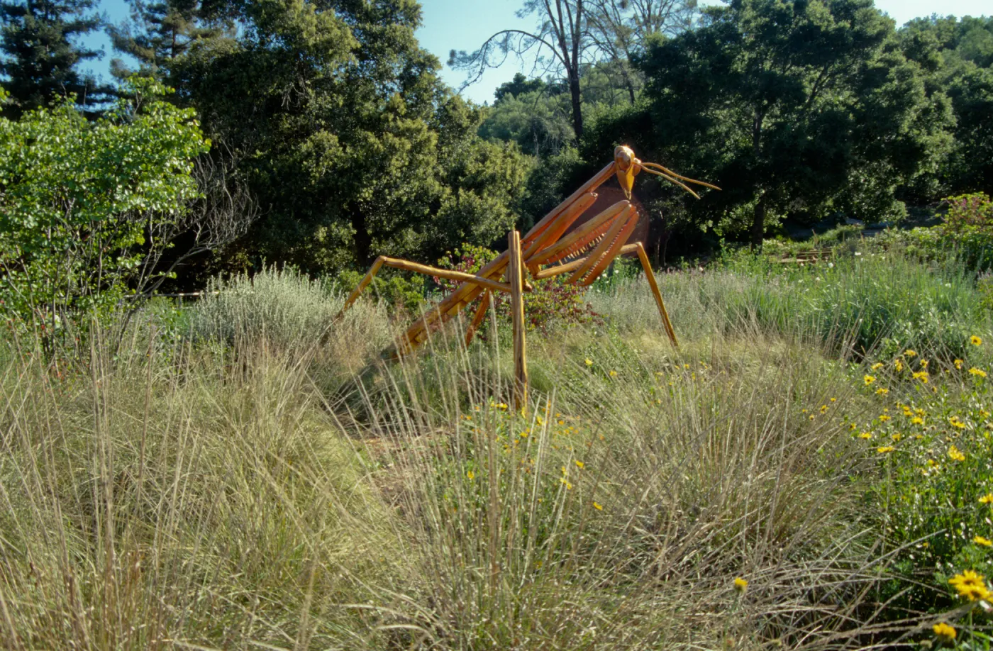 Big Bugs Praying Mantis installation