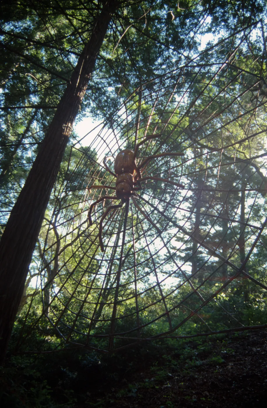 Big Bugs Spider installation