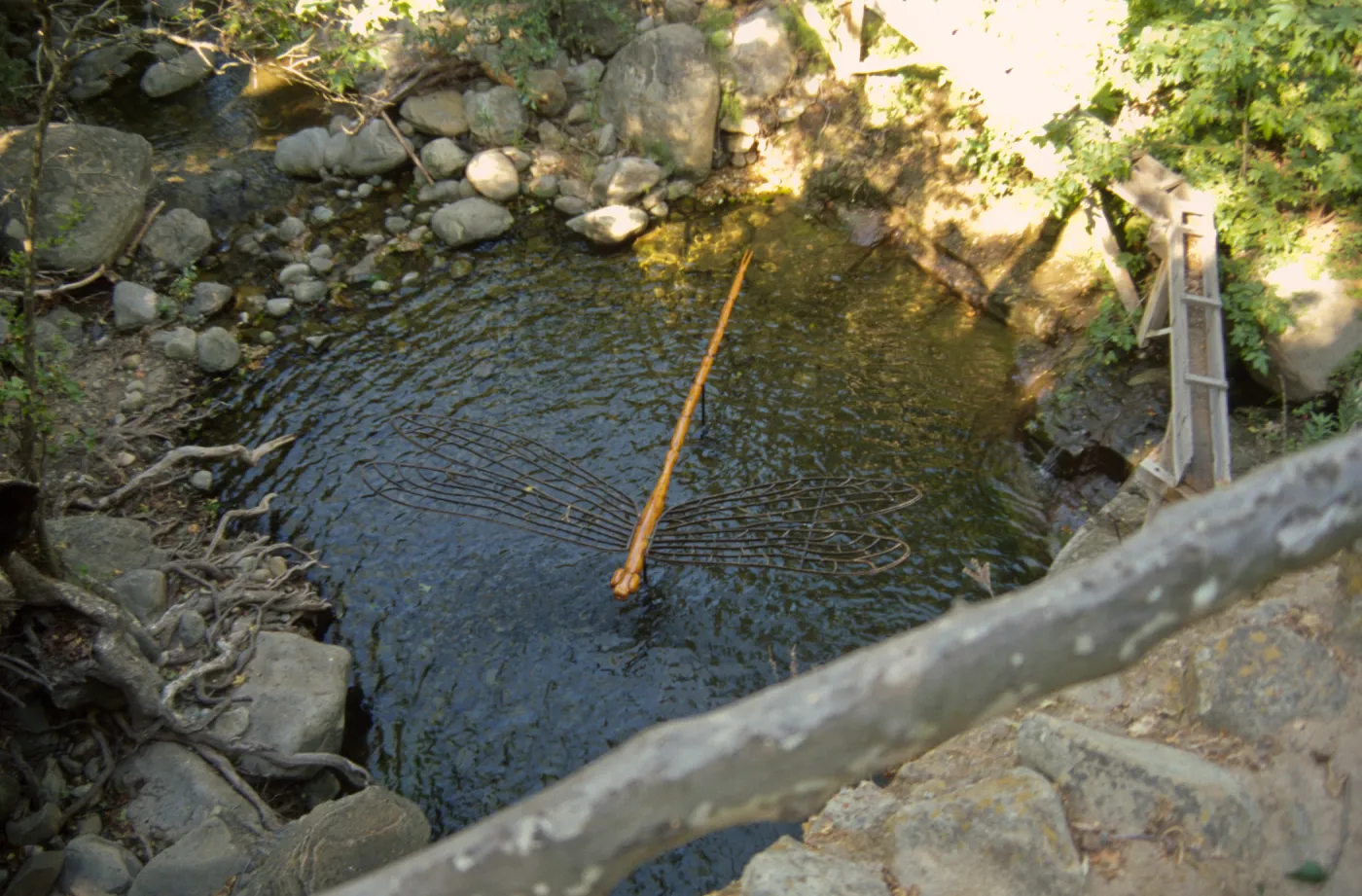 Big Bugs Damselfly installation
