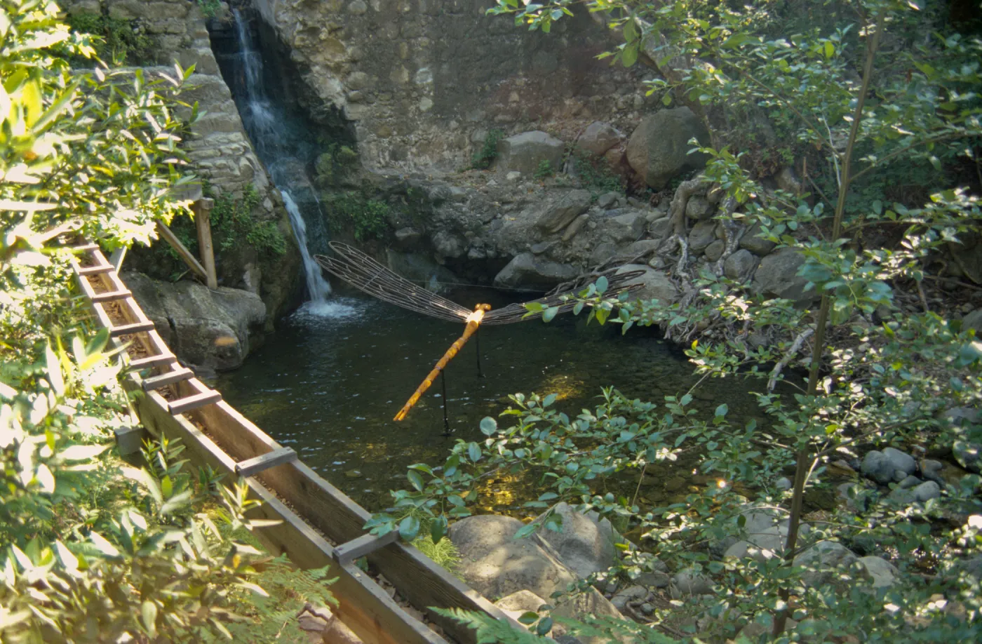 Big Bugs Damselfly installation
