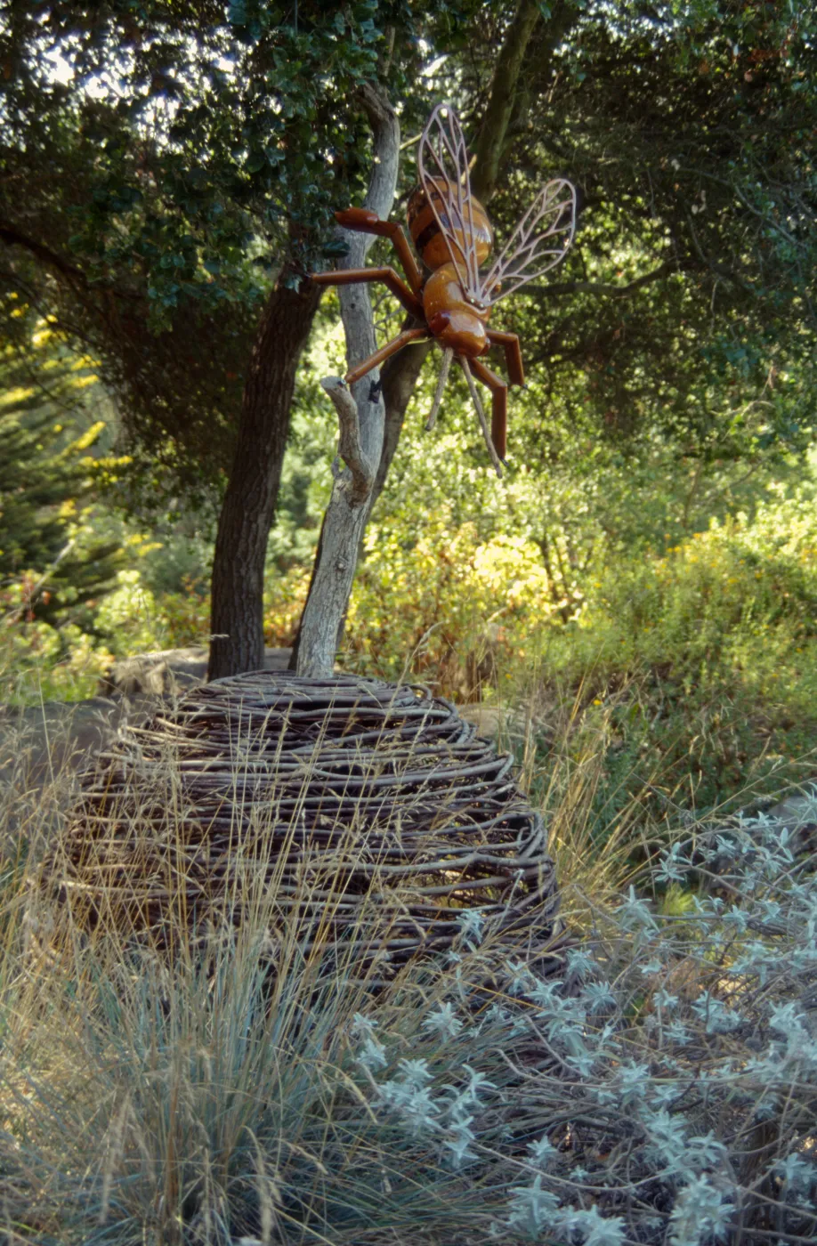 Big Bugs Honey Bee installation
