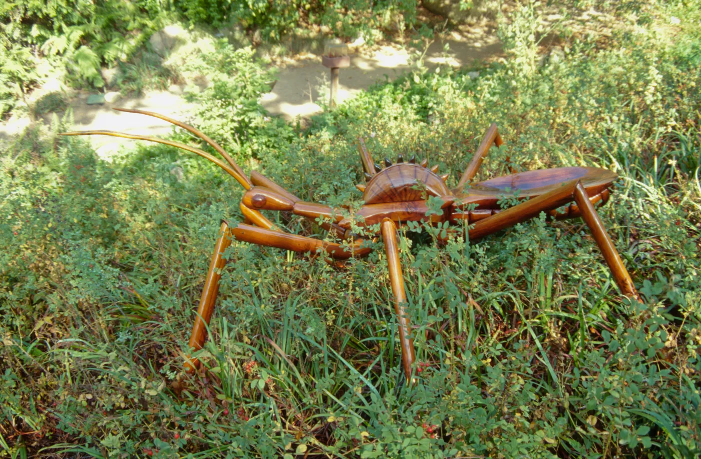 Big Bugs Assassin Bug installation