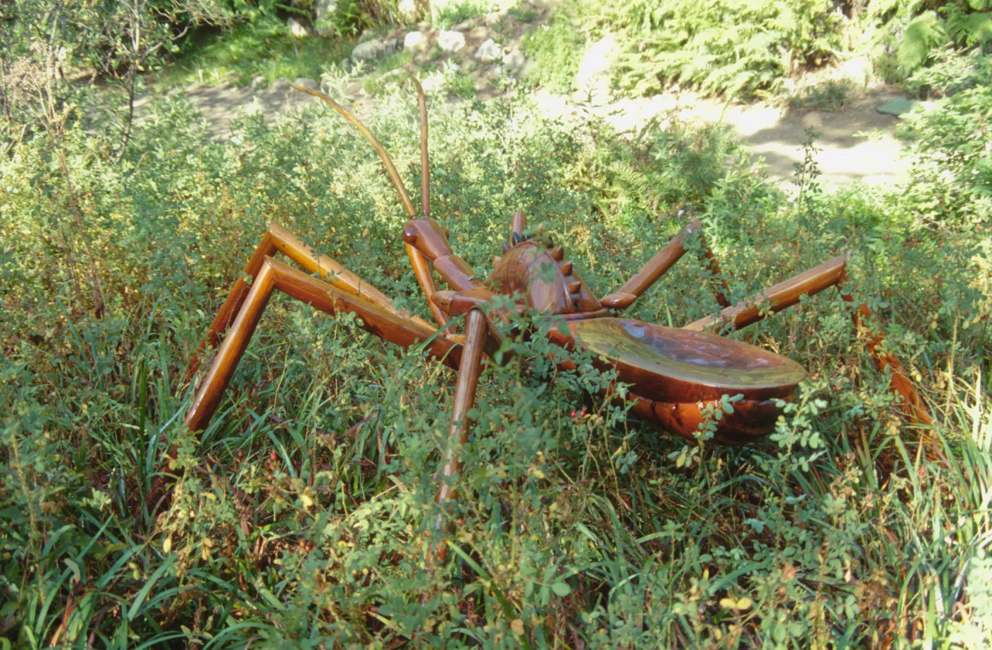 Big Bugs Assassin Bug installation