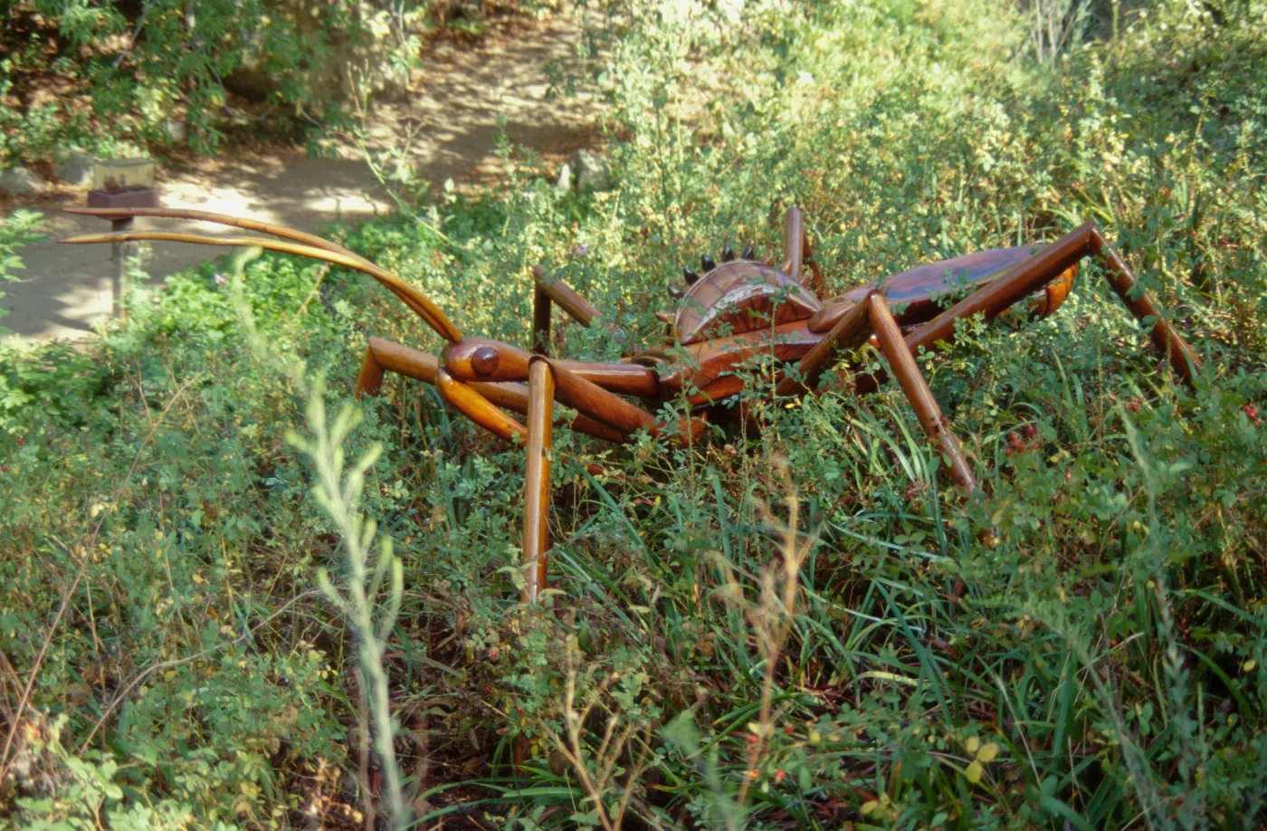 Big Bugs Assassin Bug installation