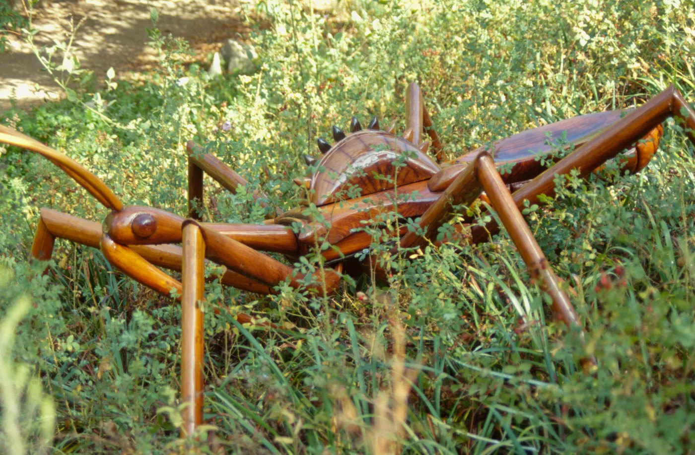 Big Bugs Assassin Bug installation