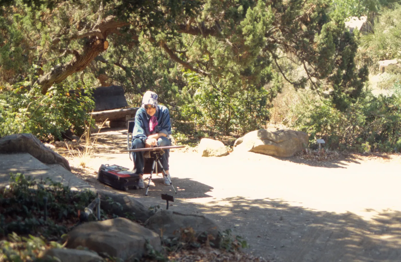 Artists in the Garden