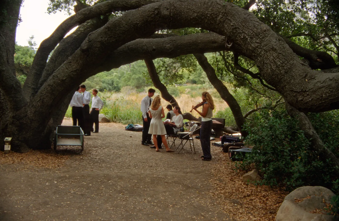 Music Academy of the West Concert, under the Meadow Oaks