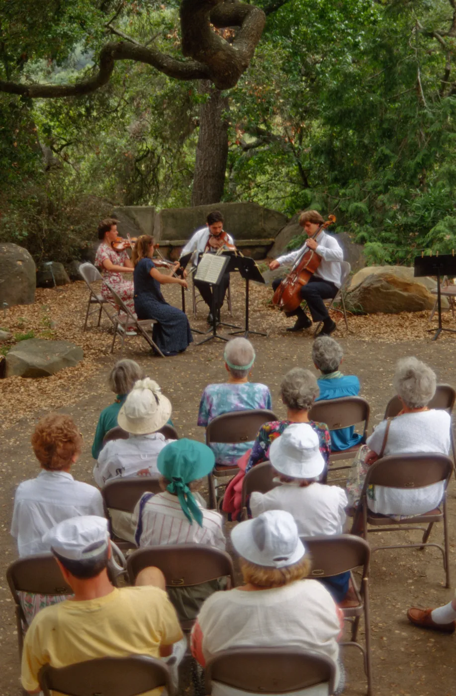 Music Academy of the West Concert, under the Meadow Oaks