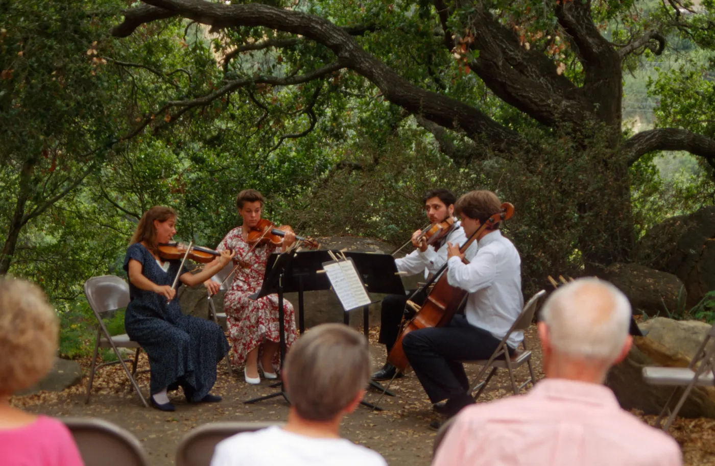 Music Academy of the West Concert, under the Meadow Oaks