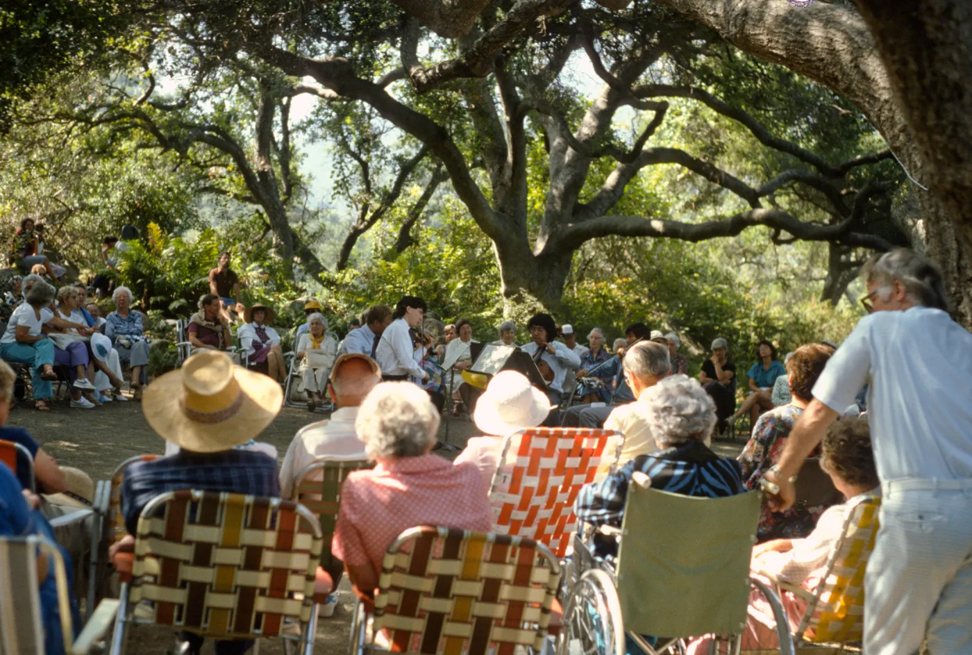 Music Academy of the West Concert, under the Meadow Oaks