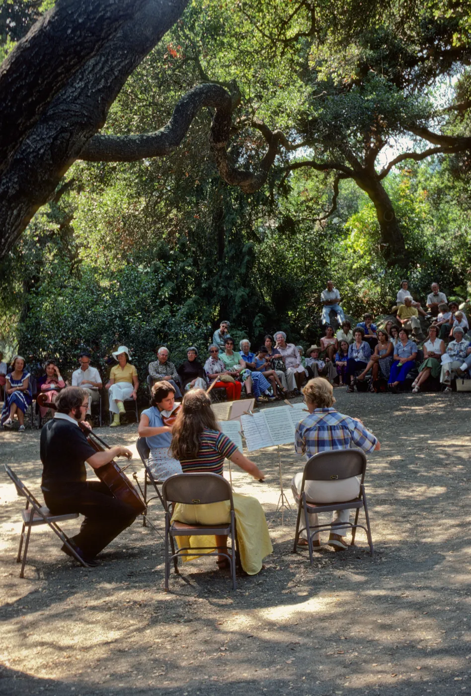 Music Academy of the West Concert, under the Meadow Oaks