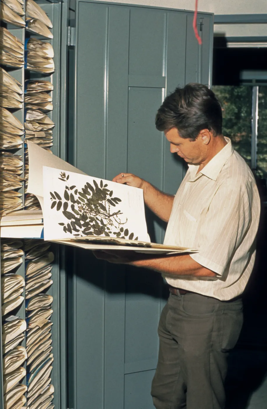 Ralph Philbrick with pressed plant specimen, Herbarium
