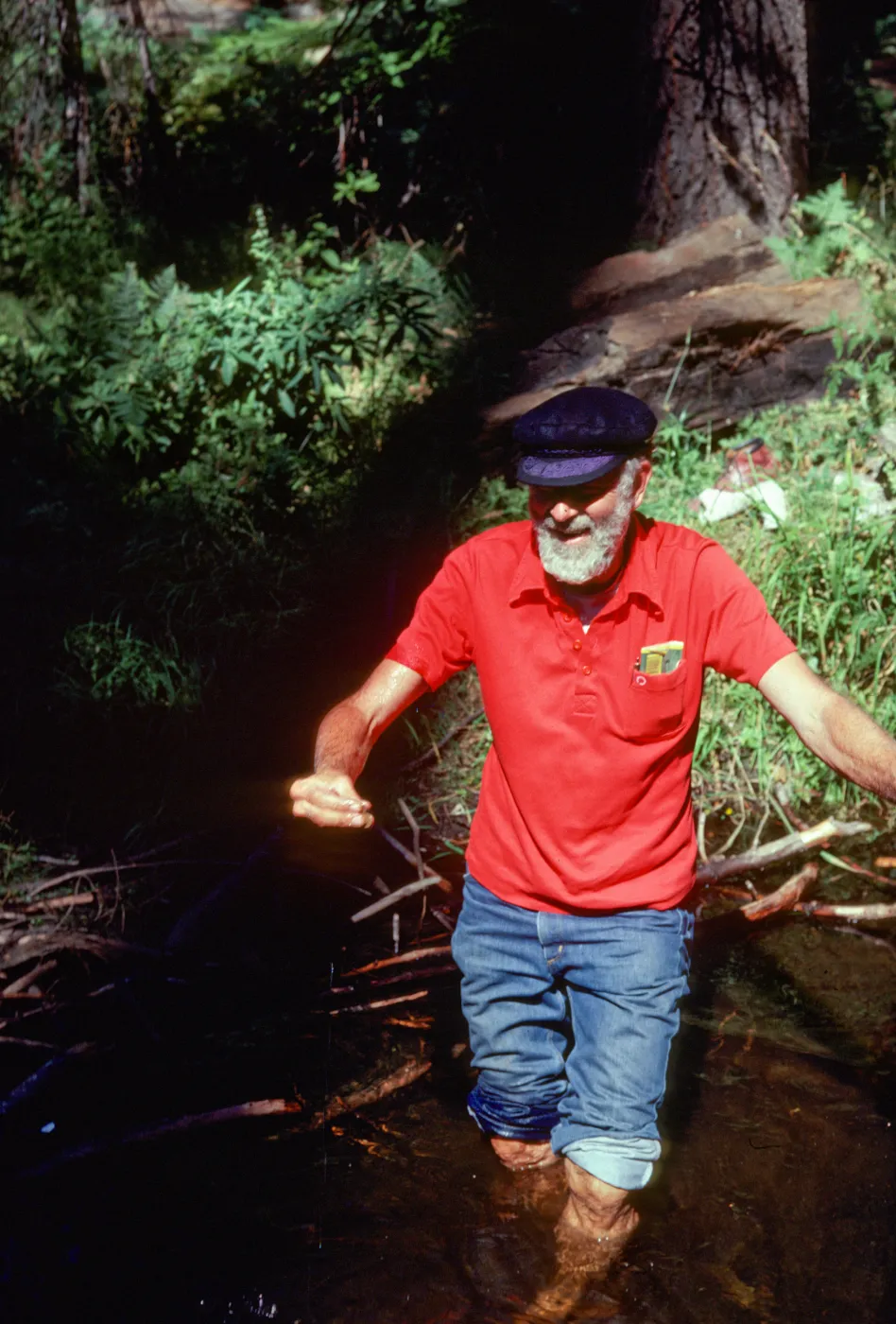 Wayne Larimore, Sequoia