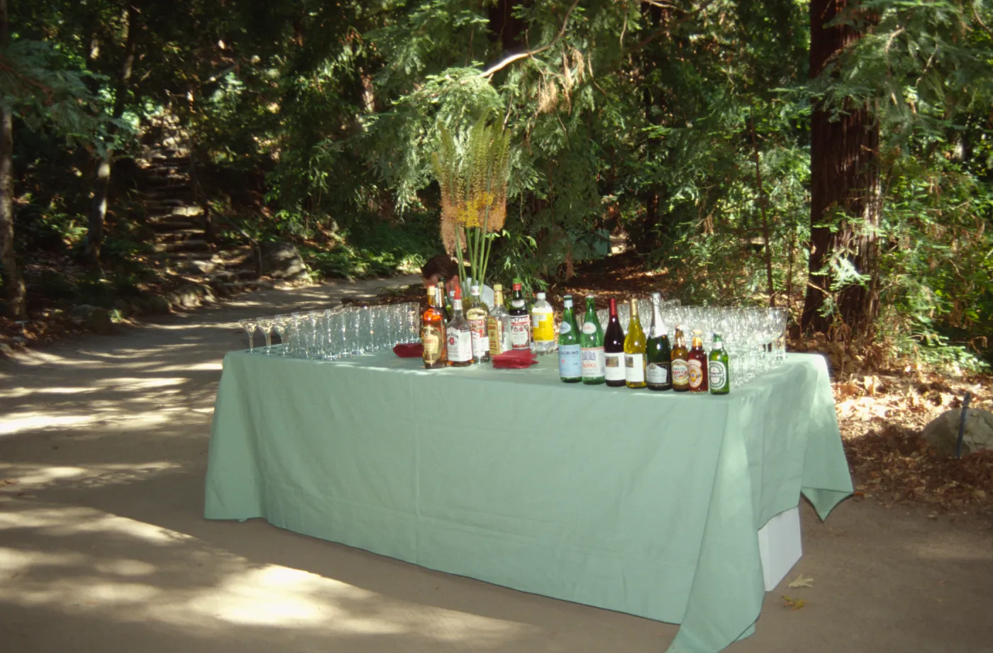 Redwood Dinner 1999
