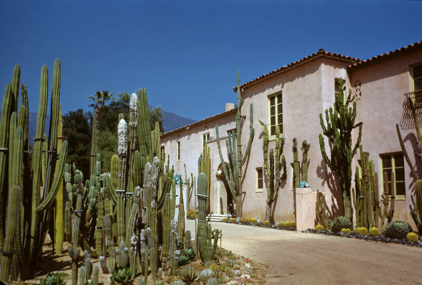 Gana Walska House, cactus garden