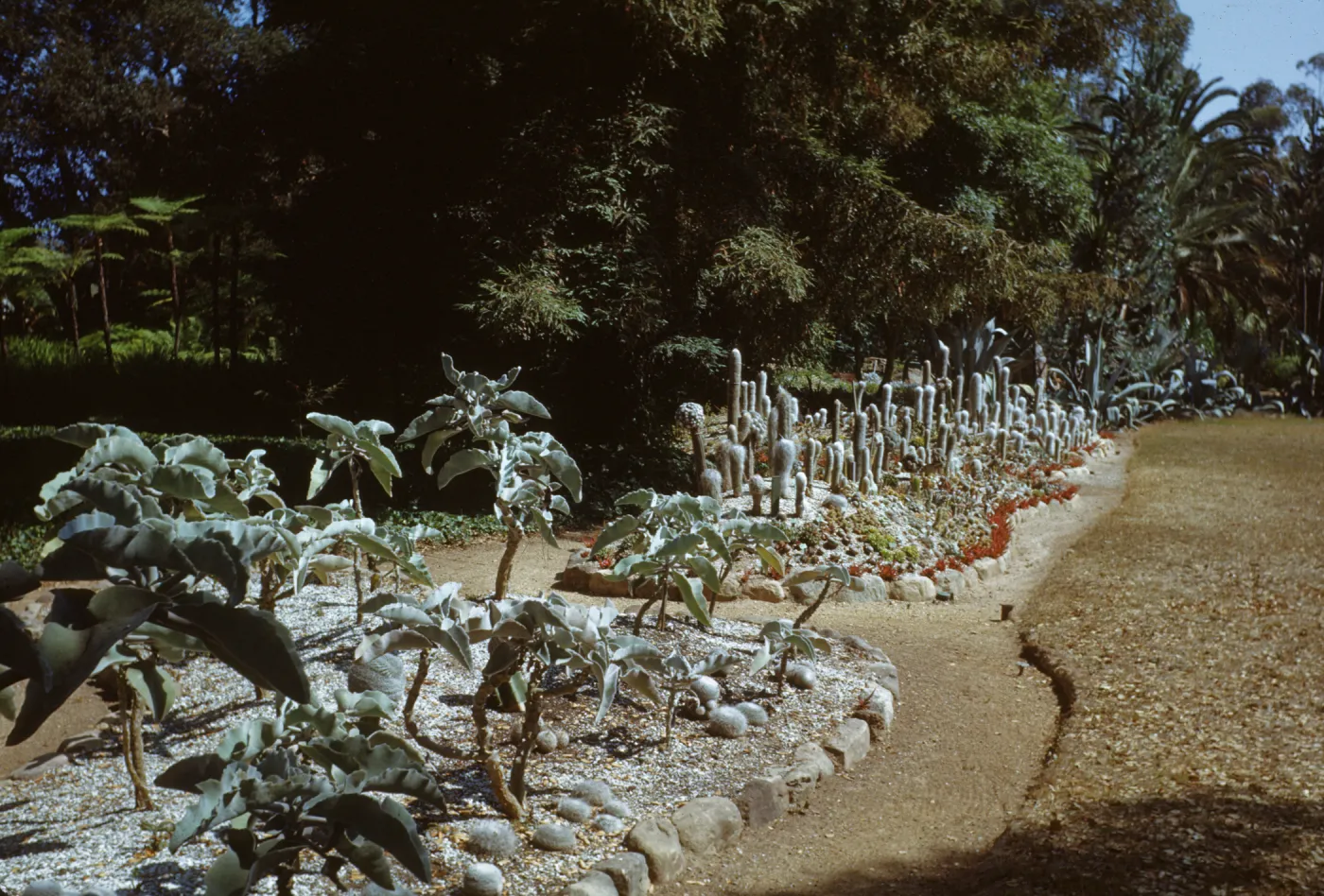 Gana Walska Cacti Garden