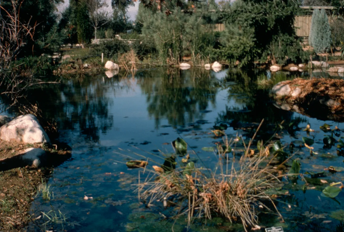 Upper pool near Home Demonstration Garden